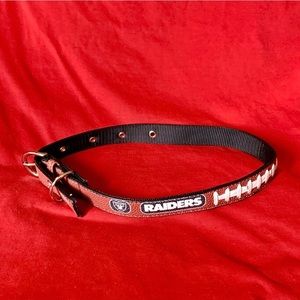 Pets NFL Las Vegas Raiders Dog Collar (L)